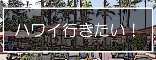 ハワイ熱が高まってます